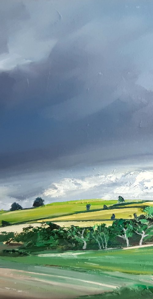 The South Downs by Steve Keenan