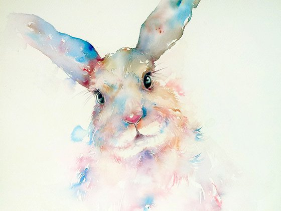 Powder Blue Bunny