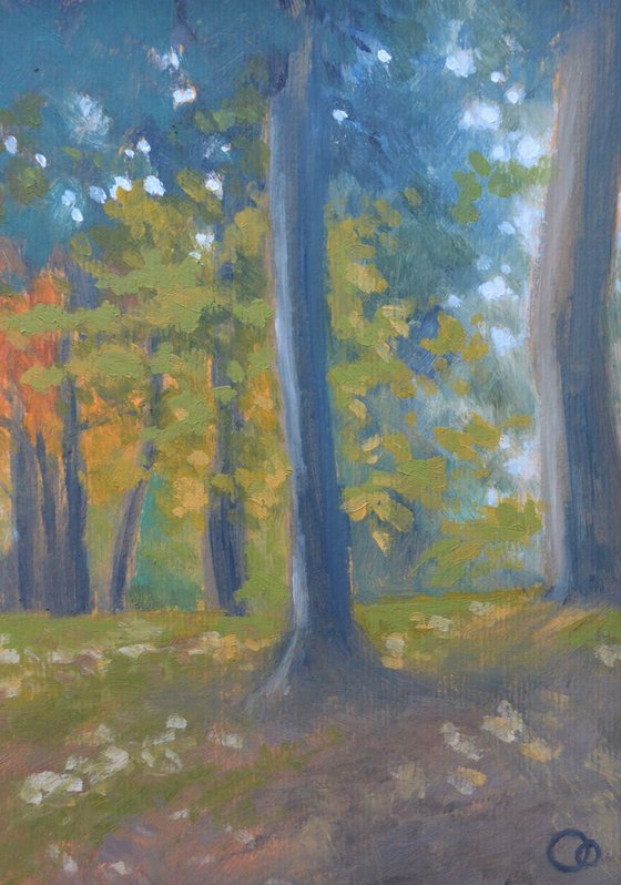 Autumn Trees