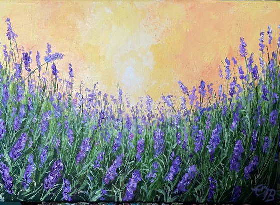 Lavender Dream