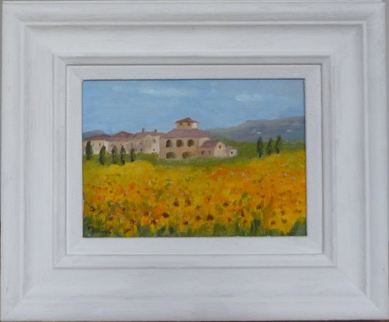 Sunflowers in Tuscany