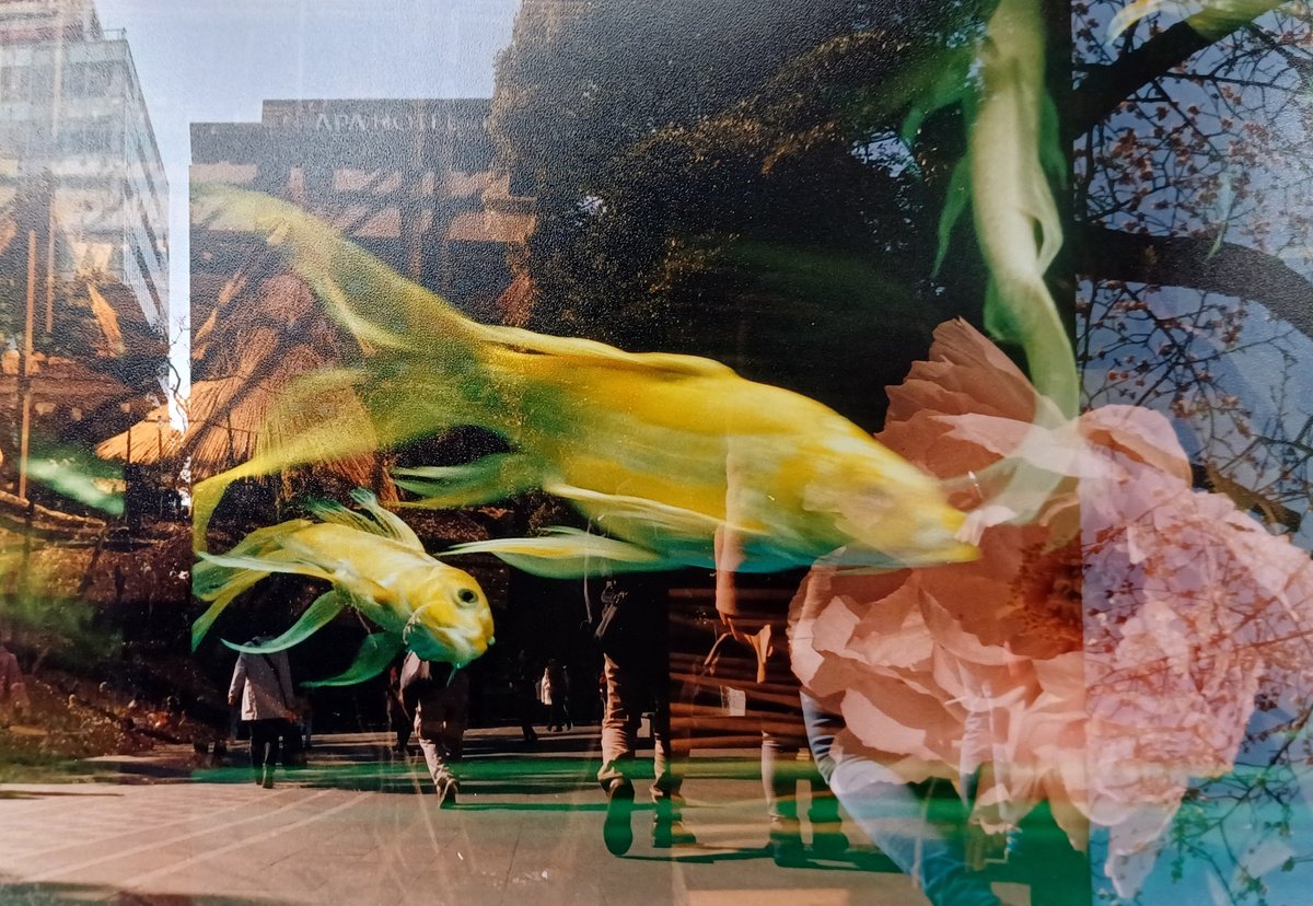 Surrealistic Cityscapes Photograph By Willow Moon, 6 X 10", Jp 7: Hotel Flurry, Original Artwork