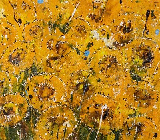 Sunflowers Horizon