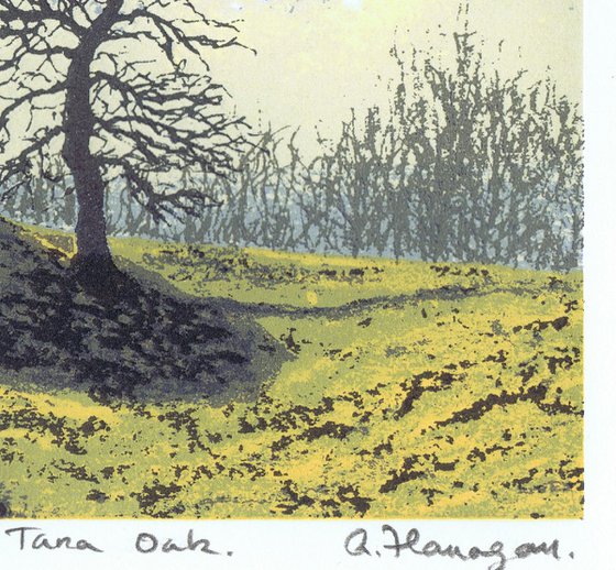 Tara Oak