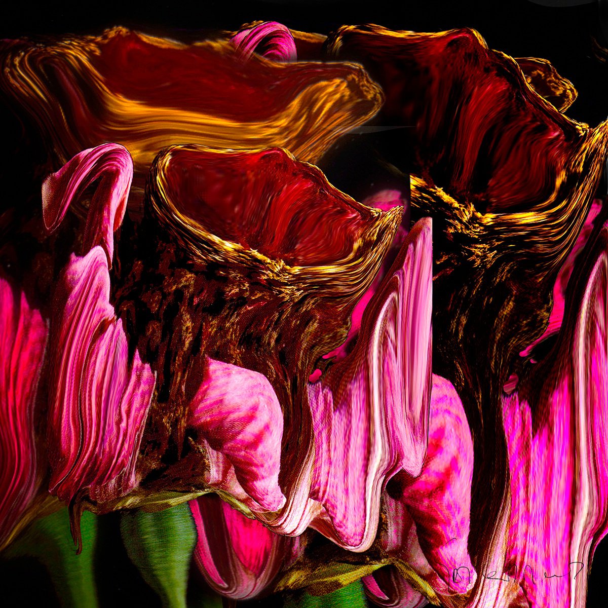 Expressive Photograph , Golden Calyx Flower By Geert Lemmers Fpa, 31 X 31, Artwork For Sale On Artfinder