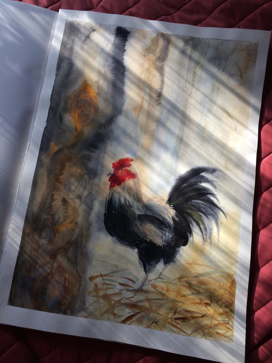 Rooster