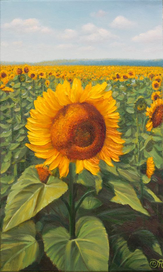 Landscape with sunflowers