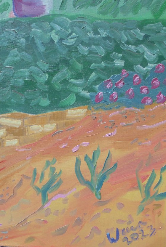 Coral tree in bloom SOLD