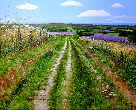 Phacelia to the Sea