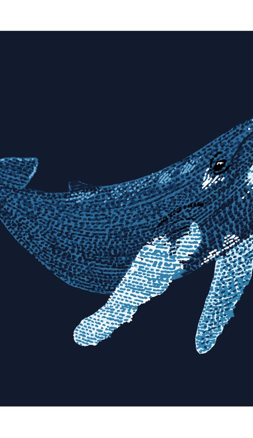 Humpback Whale - Stippling Illustration by Kelsey Emblow