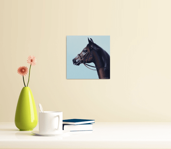 Horse Portrait 23