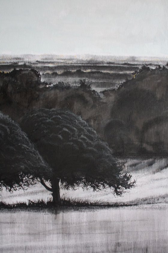2 Trees Vista (Large Canvas).