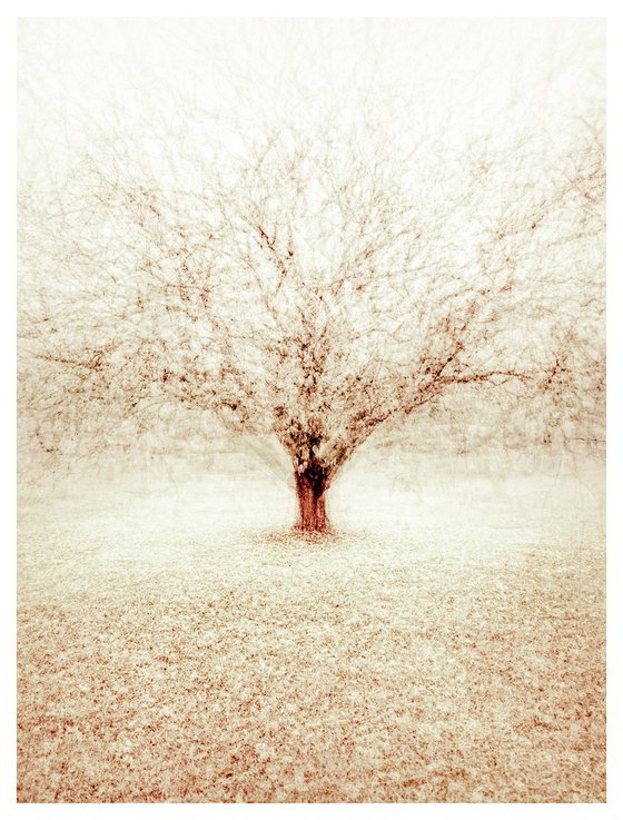Winter Memory