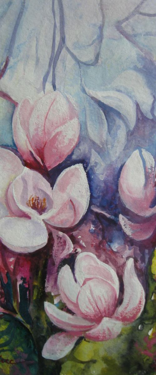 Beauty of spring - magnolia floral art by Elena Oleniuc