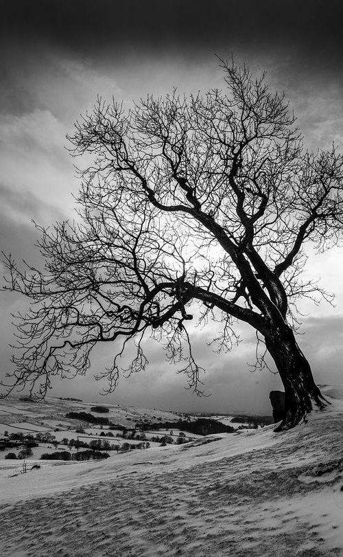 Reaching to the Heavens  Upper Hulme - Peak District National Park by Stephen Hodgetts Photography