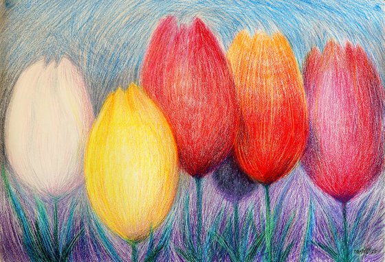 Tulips White 2