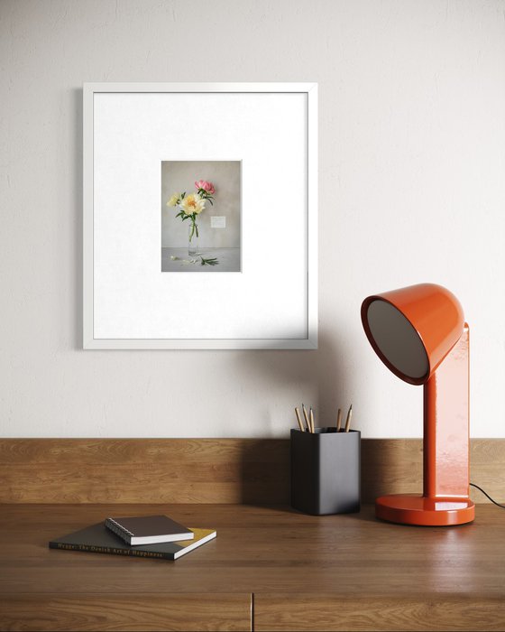 'Choral Charm' Peony