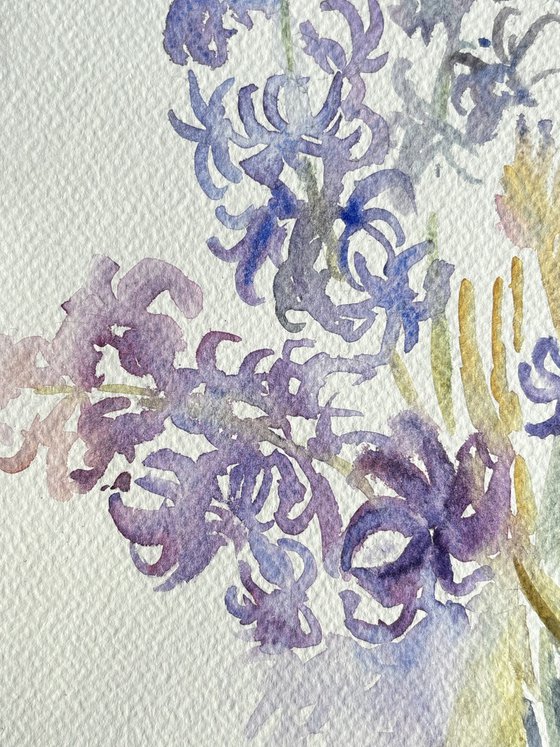 Hyacinths. Spring Awakening.