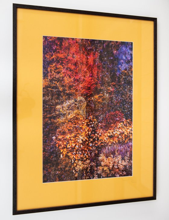 Wall of Nature LXII (Framed)