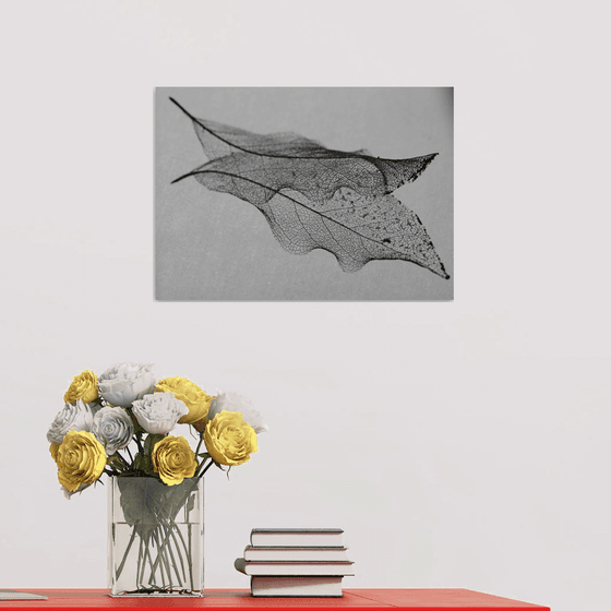 Skeleton Leaf II