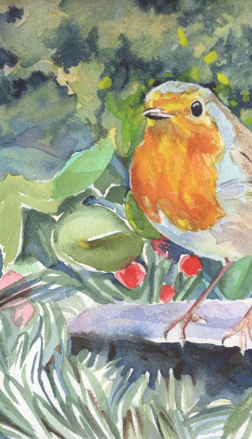Robin by Sarah Stowe
