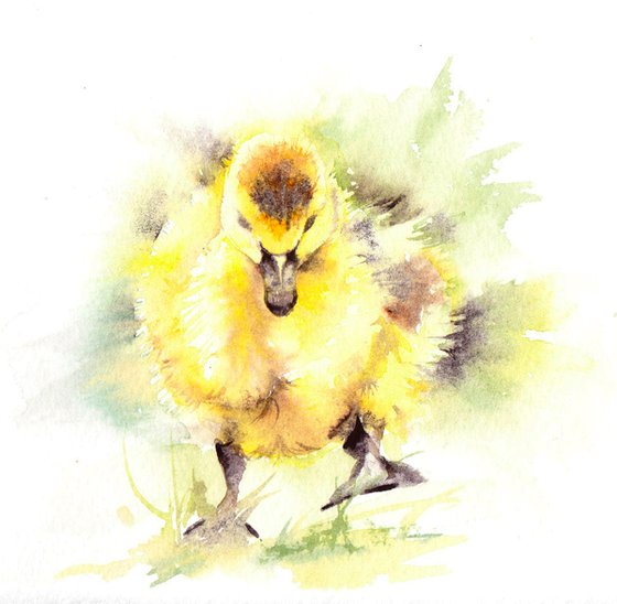 Gosling - Original watercolour painting