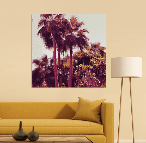 Palms IV