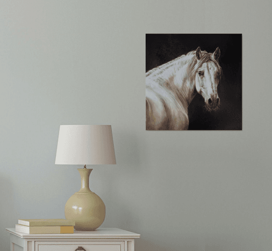 Horse portrait in monochrome