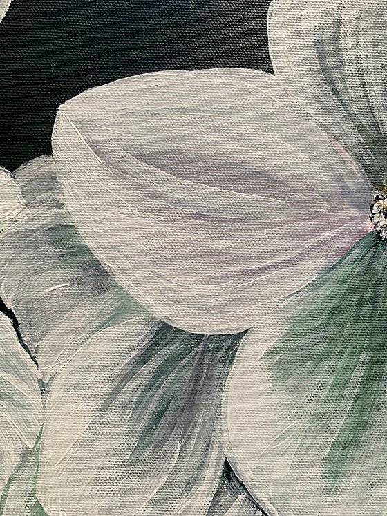 Magnolia white petals Flowers set