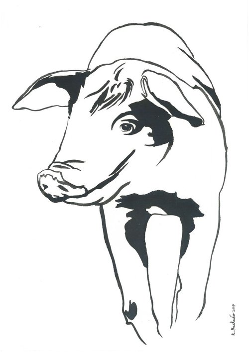 Pig I Animal Drawing by Ricardo Machado