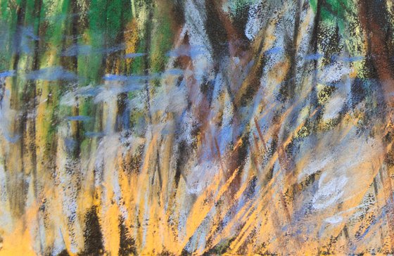 Wind in the Bluebells