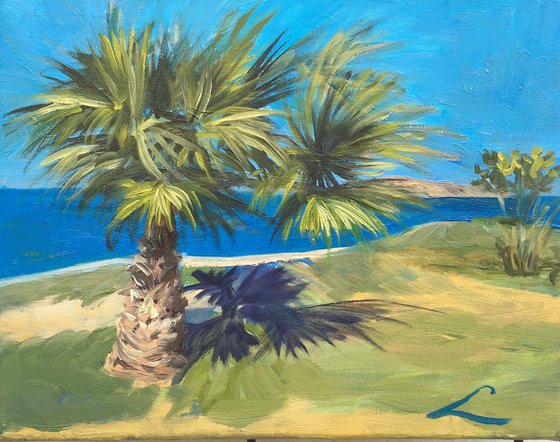 Palm at the sea