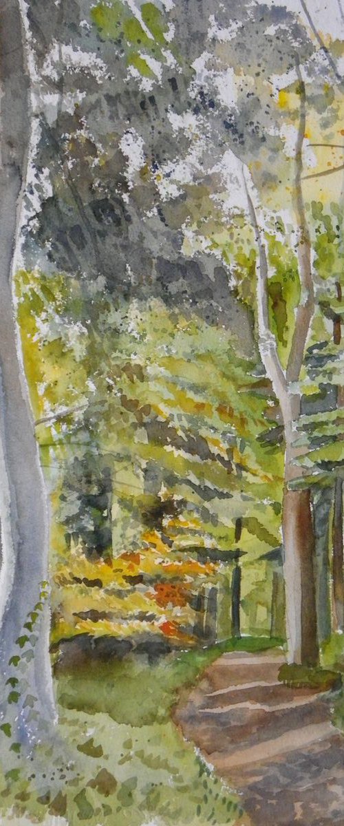 Autumn Woods by Mary Stubberfield