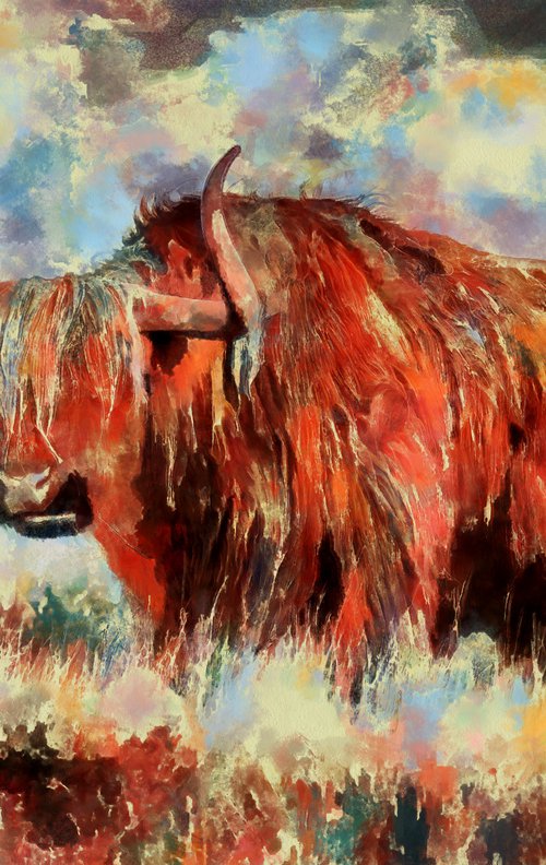Highland Bull by Alistair Wells
