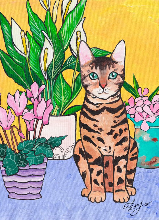 Bengal cat on an yellow background.