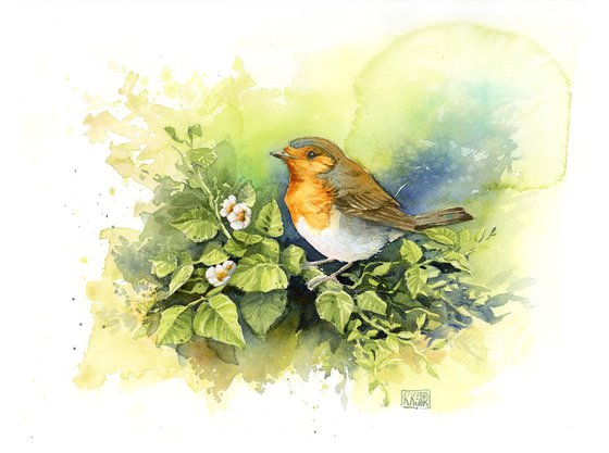 Robin in April greenery