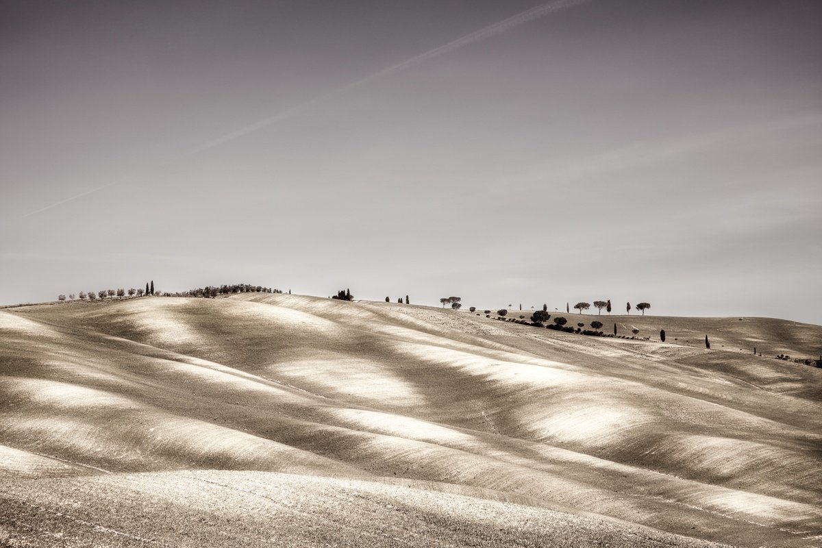 Clays of Siena by Karim Carella