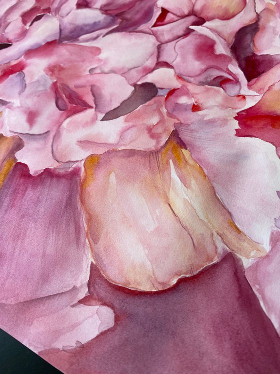 Peony Heart