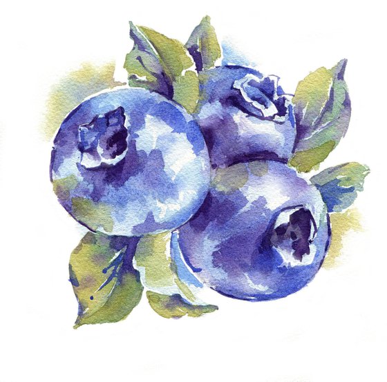 "Blueberry" from the series of watercolor illustrations "Berries"
