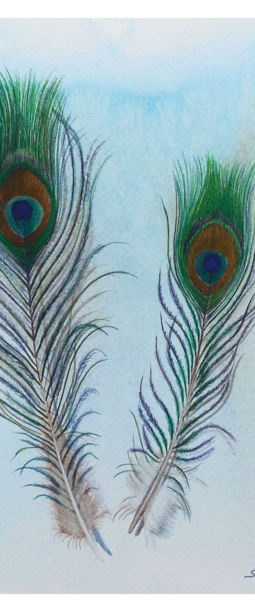 Two Feathers by Shweta  Mahajan