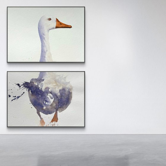Curious duck White long neck