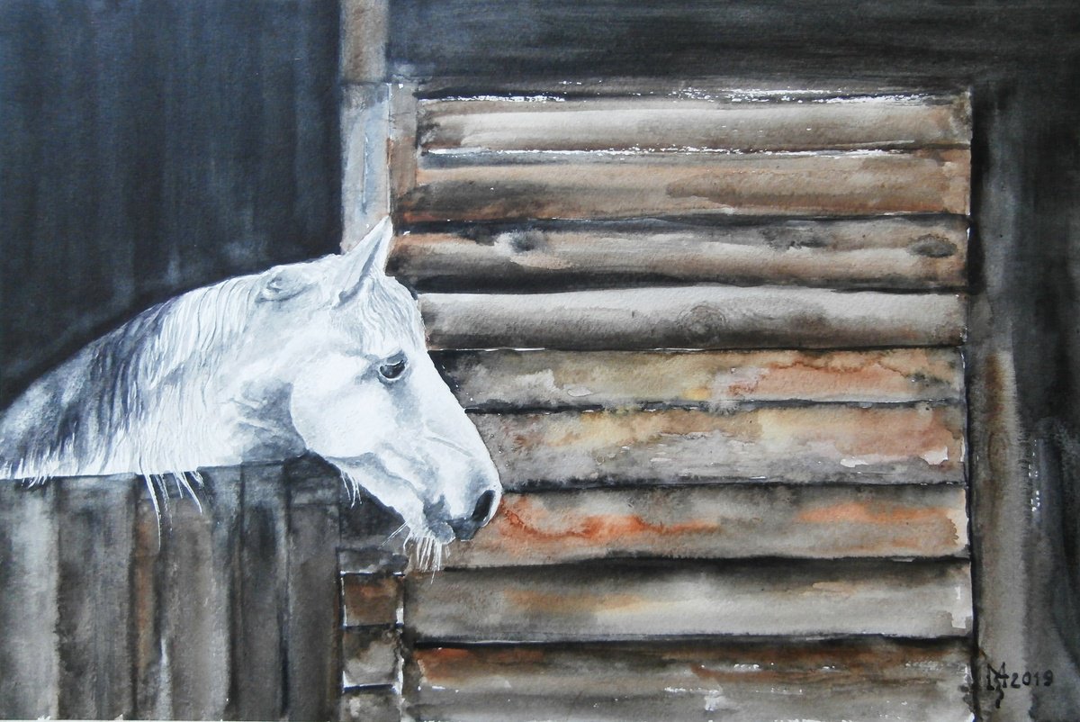 WHITE HORSE by Zoran Mihajlovic Muza