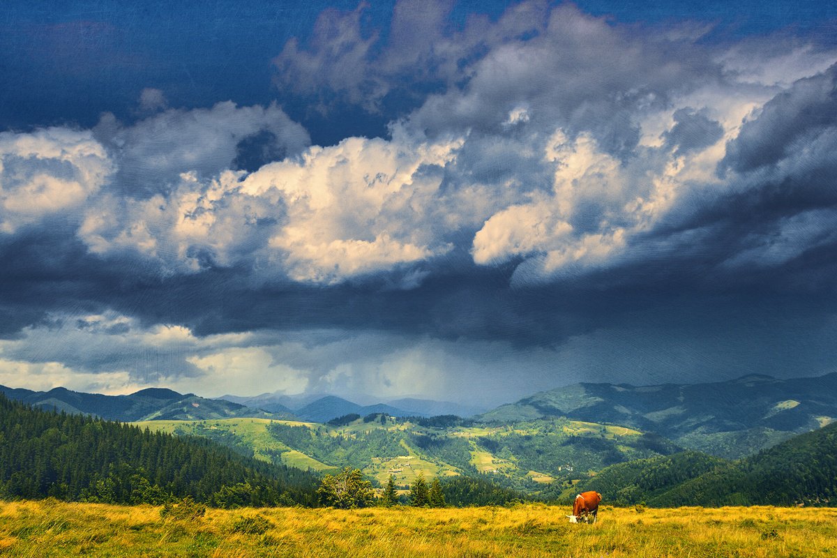 Photorealistic Landscape Photograph By Valerix, 24 X 16", On The Mountain Pasture., Original Artwork