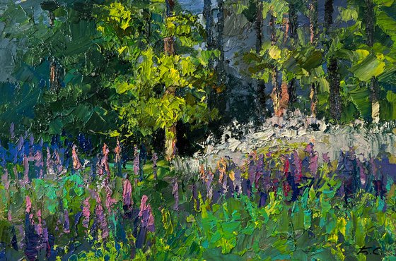 The Scent of Summer Forest