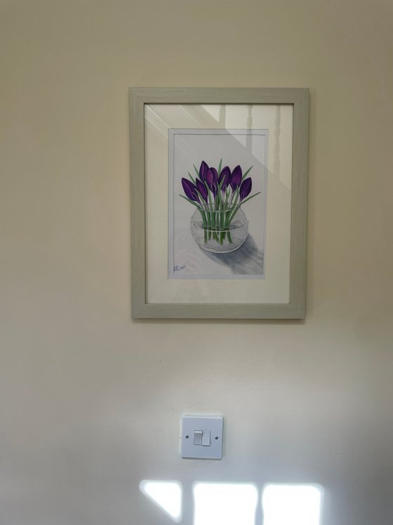 First Crocuses
