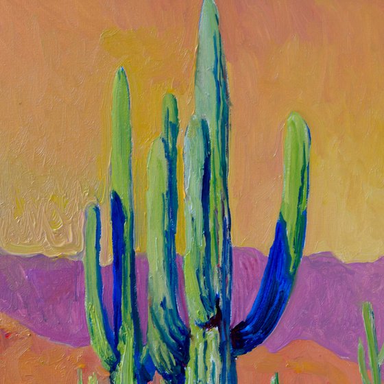 Arizona Evening Light. Saguaros