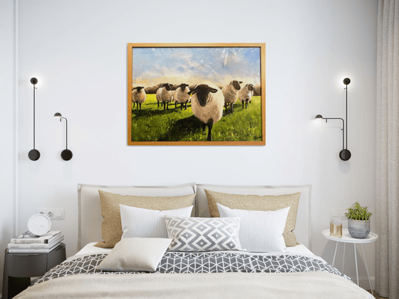 Flock of Black Face Sheep in a Field Framed