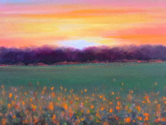 The Light Finds Me Waiting