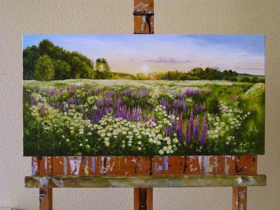 Lupine Meadow Landscape