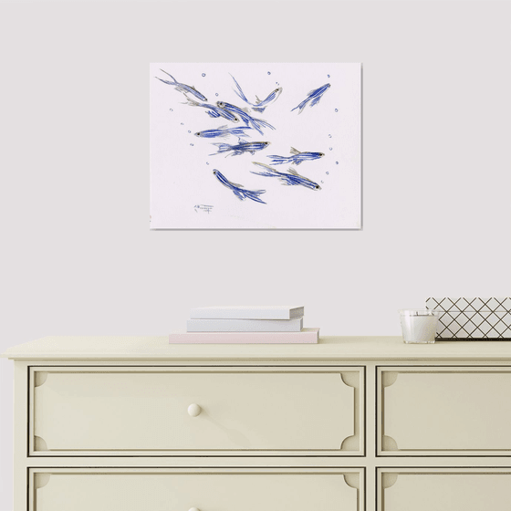 Danio, Zebrafish Aquarium art